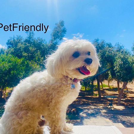 Bungalow Sequero #Pet Friendly Tuineje Екстериор снимка